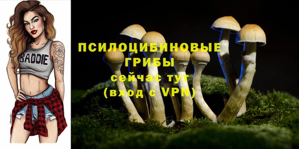 гашишное масло Армянск