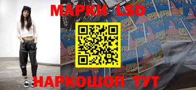 a pvp Ставрополь