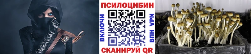 Галлюциногенные грибы MAGIC MUSHROOMS  Чайковский 